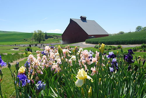 Moscow, Idaho